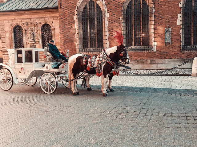 Getting Around Krakow, Poland