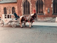 Getting Around Krakow, Poland