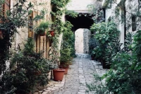 Larnaca City Streets