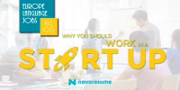 Why Should You Consider Working in a Startup?